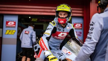 Filic Salad Marc VDS