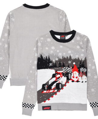 Formula 1 Novelty Christmas Jumper - Kids