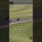 🏍️💨 Epic last-lap showdown! Who’s taking the win? 🤔 #RaceDrama #Donington
